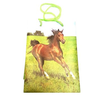 BALIACE VRECK&Aacute; MIX ZVIERAT&Aacute; - 12x17,5 (12 ks)