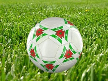 FUTBALOV&Aacute; LOPTA - MODEL 1 (6 ks)