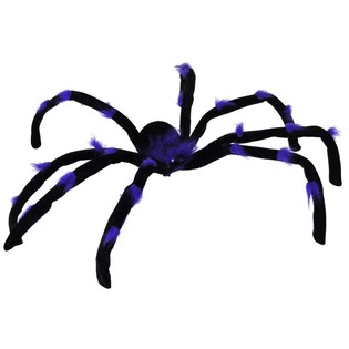 Veľk&yacute; Stra&scaron;ideln&yacute; Pav&uacute;k (6 ks)