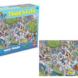 Puzzle That&rsquo;s Life - Village, 1000 dielikov (1 ks)