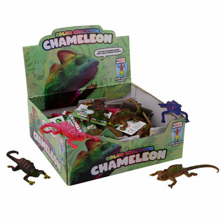 Chamele&oacute;ny Meniace Farbu Display (48 ks)