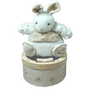 PLY&Scaron;OV&Aacute; HRAČKA V DARČEKOVEJ KRABIČKE BABY BOW - MODEL 8